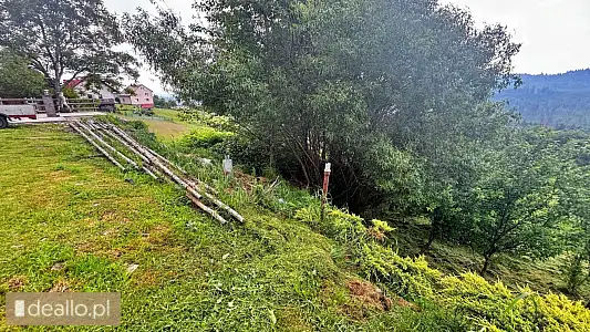 [eLicytacje] I licytacja - Nieruchomość gruntowa niezabudowana położona w Koniakowie o pow. 0,0656 h - Zdjęcie 2 - KRAKOWIACZEK.EU