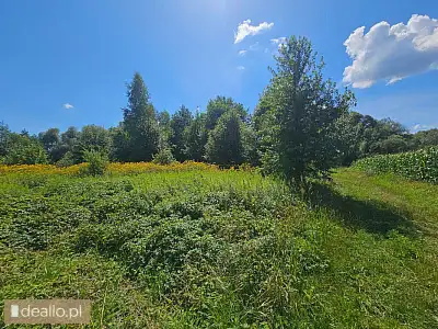 [eLicytacje] I licytacja - Nieruchomość gruntowa - Zdjęcie 3 - KRAKOWIACZEK.EU