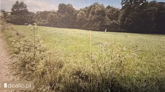 [eLicytacje] I licytacja - Nieruchomość gruntowa niezabudowana - Zdjęcie 2 - KRAKOWIACZEK.EU