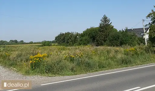 [eLicytacje] I licytacja - Udział ½ nieruchomości gruntowej niezabudowanej położonej w Krakowie - KRAKOWIACZEK.EU