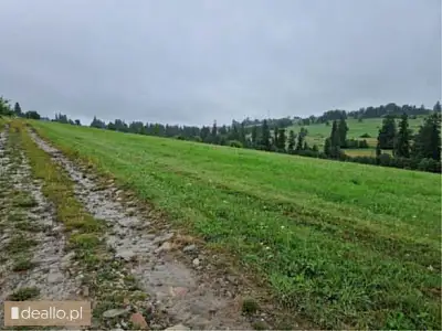[eLicytacje] III licytacja - Działki rolne niezabudowane położone w Witowie - KRAKOWIACZEK.EU