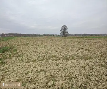 [eLicytacje] I licytacja - Nieruchomość gruntowa położona w Drogomyślu - KRAKOWIACZEK.EU