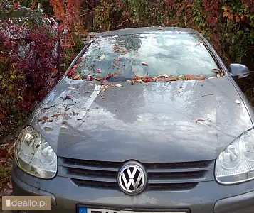 Volkswagen Golf rok prod. 2007 - I licytacja - [eLicytacje] - KRAKOWIACZEK.EU
